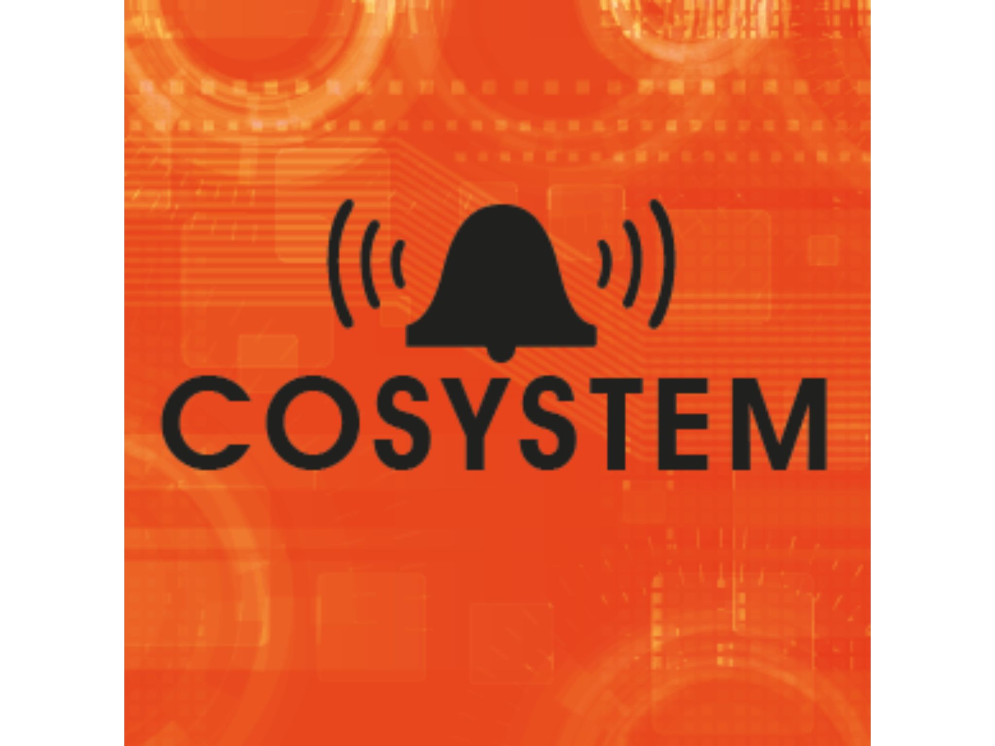  Logo Cosystem